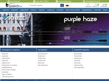 Screenshot Angelplatz Website