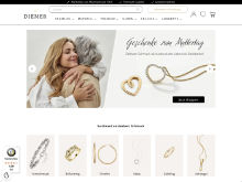 Screenshot DIEMER Website