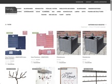 Screenshot Homely Home Website