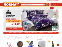 Screenshot Norma Website