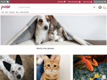 Screenshot Petotal Website